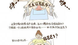 产子漫画,温馨描绘育儿生活的点点滴滴