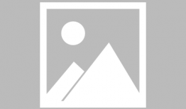 动漫伦理在线观看,在线观看的道德之旅